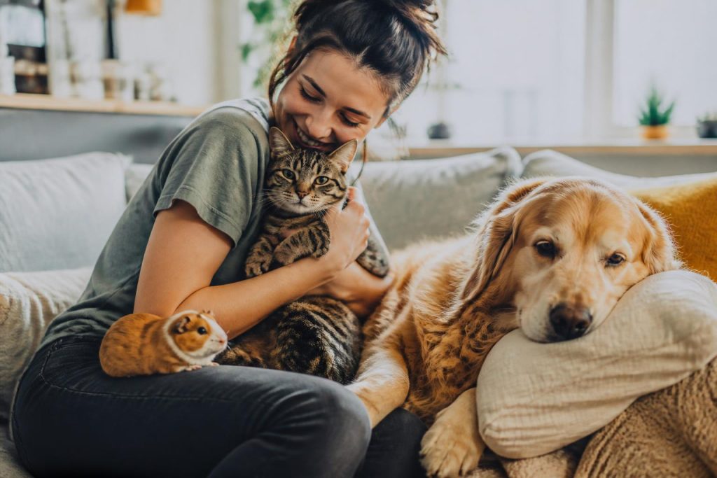 découvrez comment un environnement calme peut améliorer le comportement et le bien-être de vos chiens, chats et nouveaux animaux de compagnie (nac).