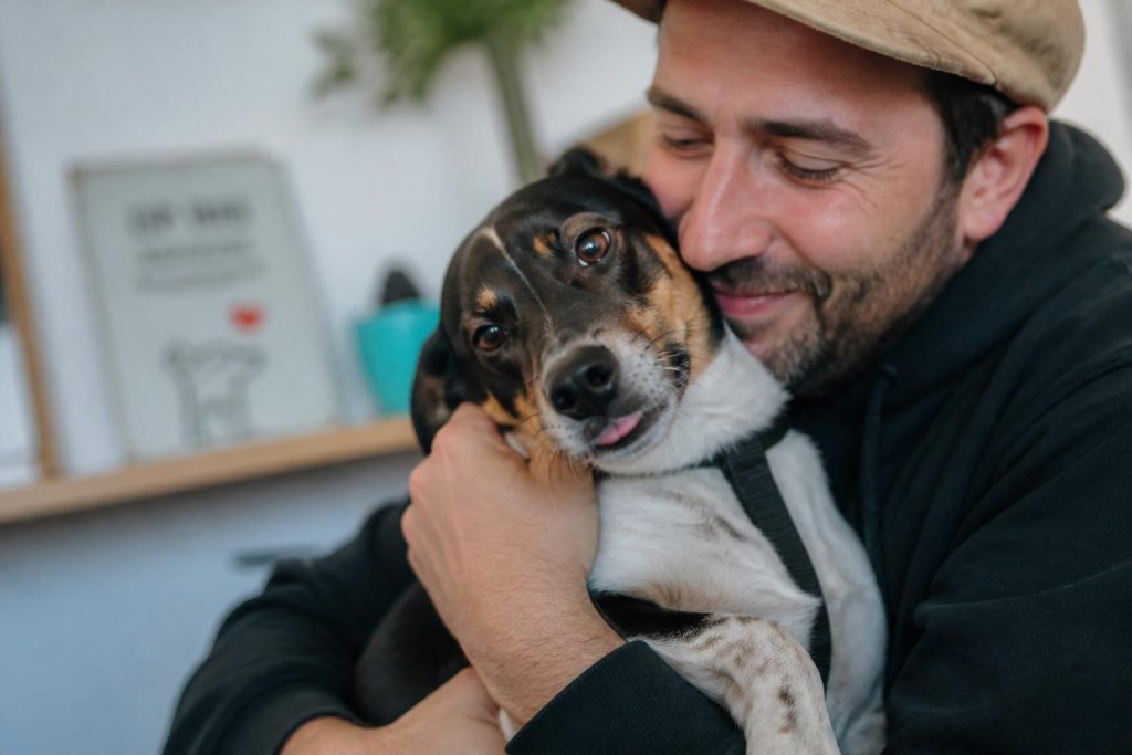 découvrez les signes silencieux révélant qu’un animal adopté commence enfin à se sentir en sécurité chez vous, pour mieux comprendre et accompagner son bien-être.